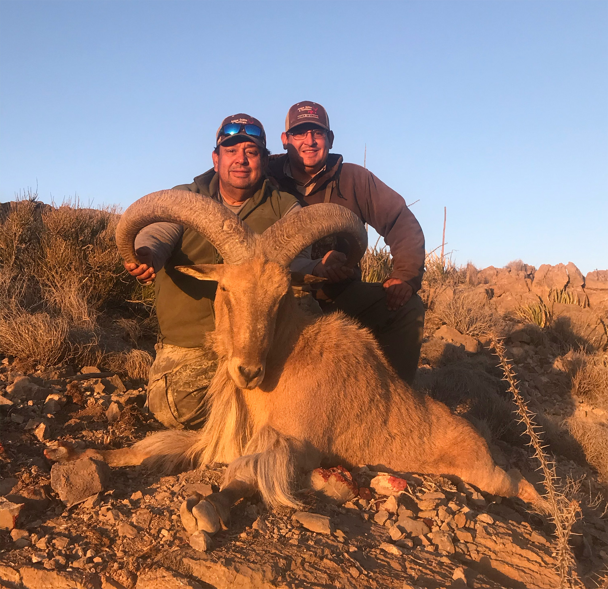 Berber-Sheep-Amigos-Outfitters-IMG_0748