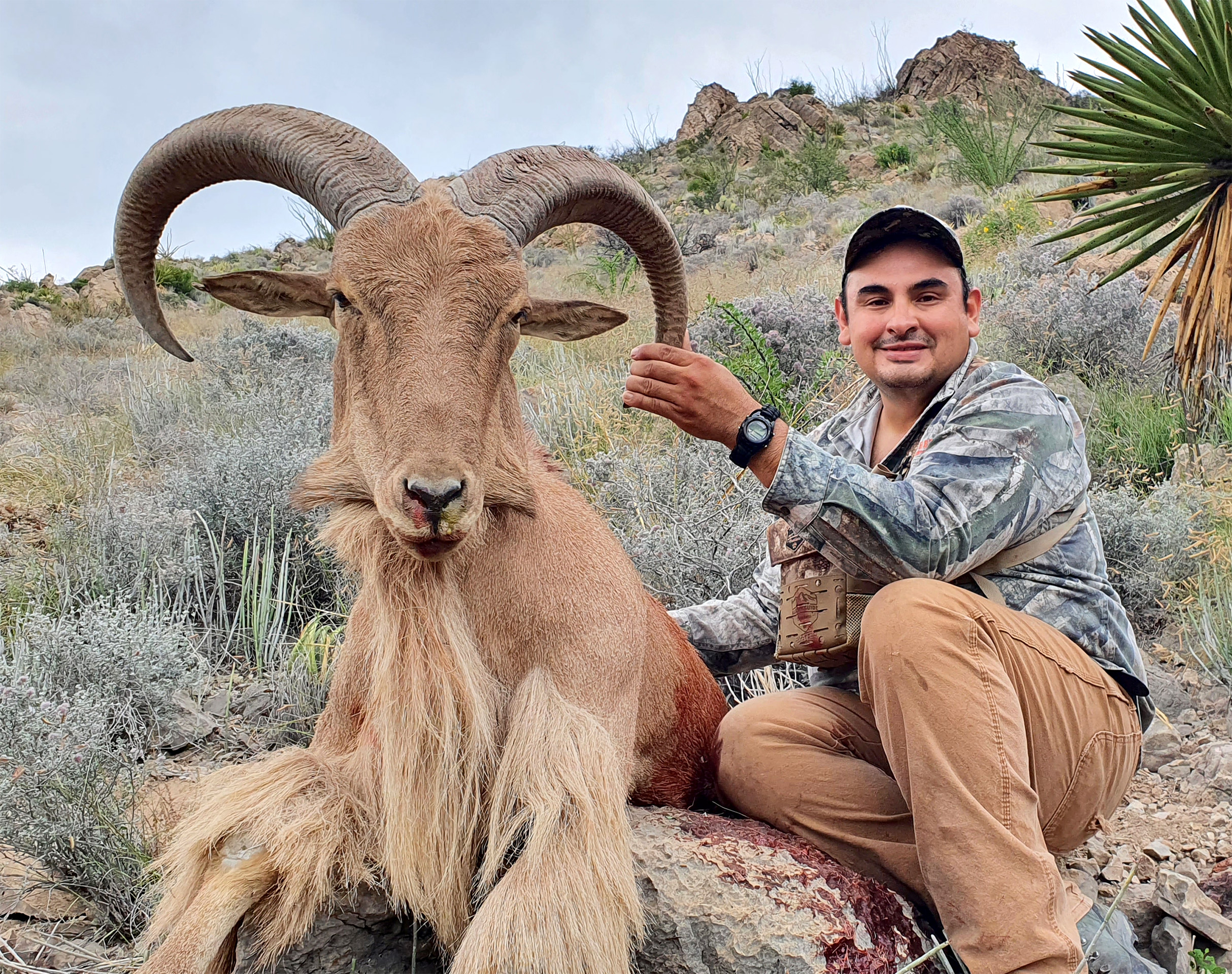 Berber-Sheep-Amigos_Outfitters-20221007_093649