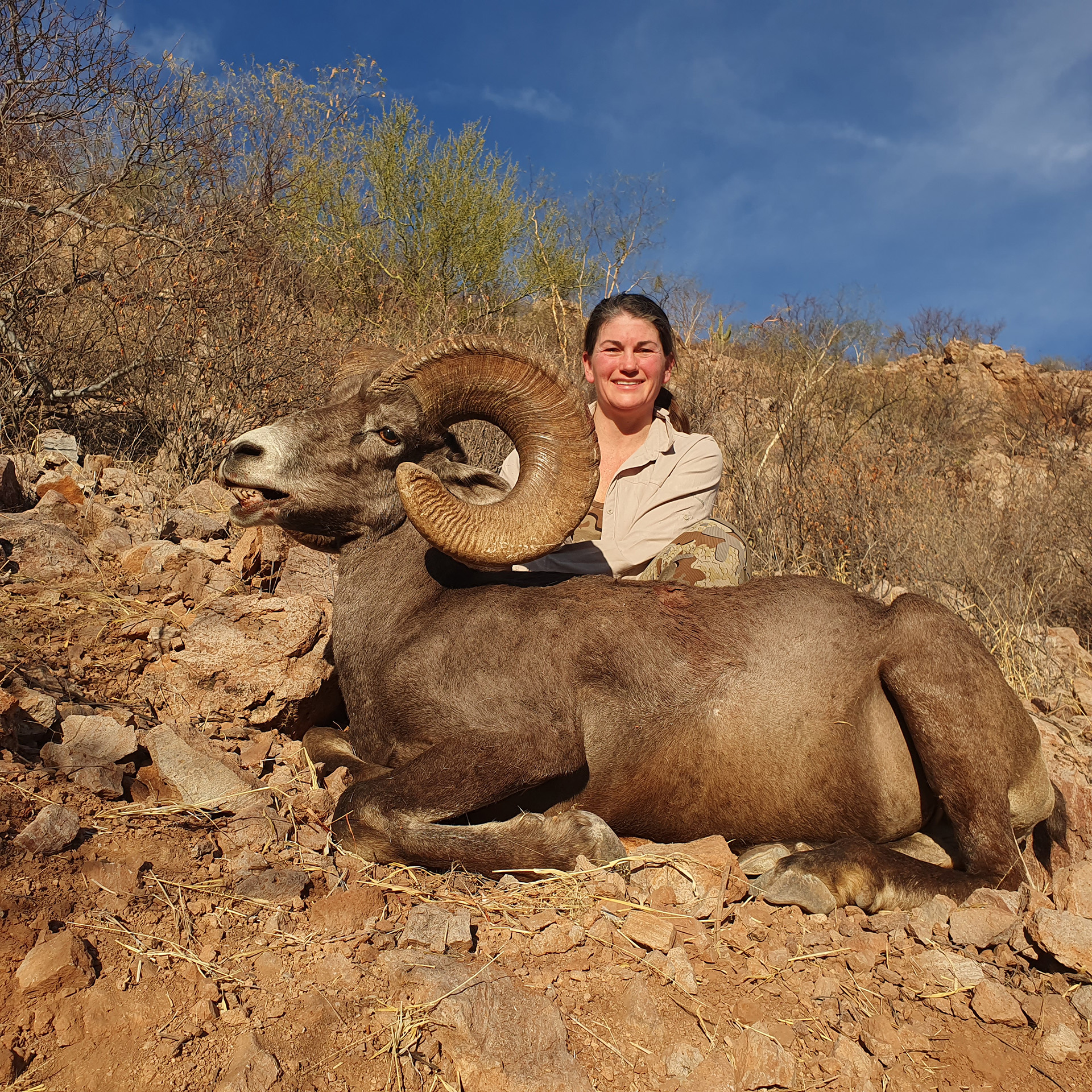 Bighorn-Sheep-Amigos-Outfitters-20221227_162309