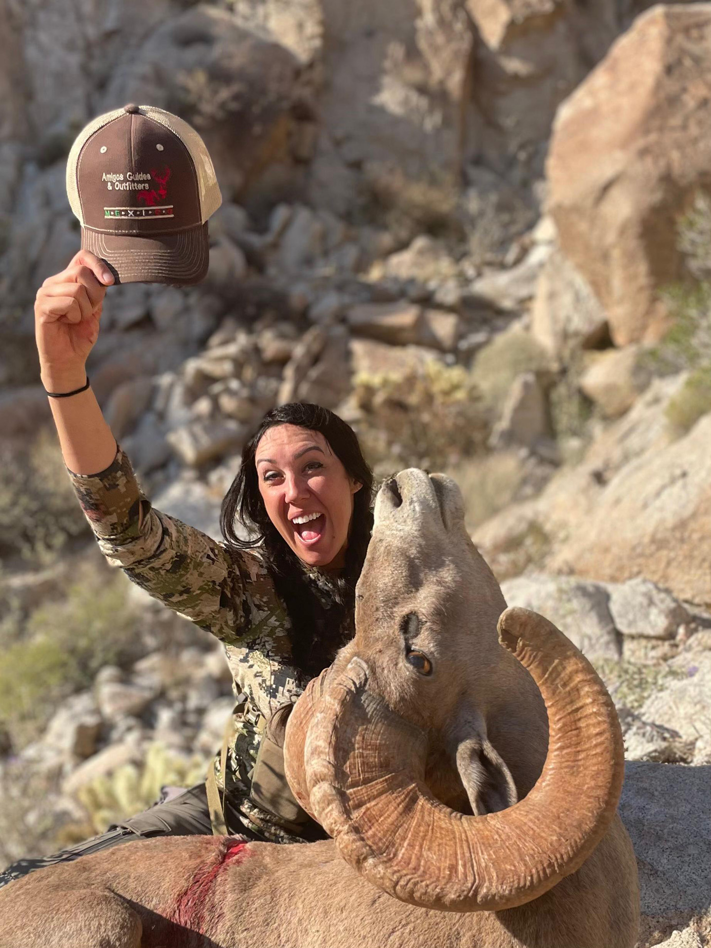 Bighorn-Sheep-Amigos-Outfitters-2025-07-21 at 11.04