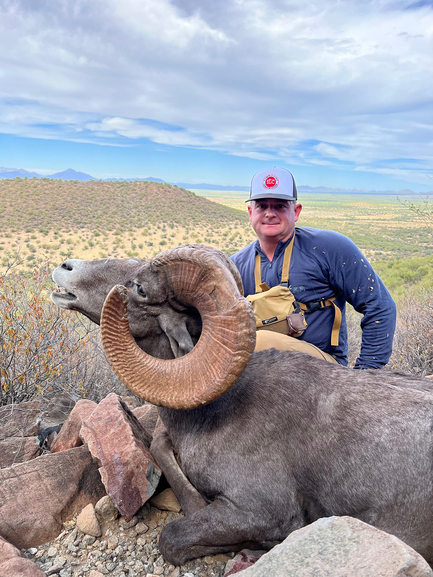 Bighorn-Sheep-Amigos-Outfitters-2025-07-21 at 110131