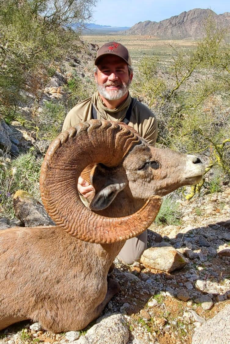 Bighorn-Sheep-Amigos-Outfitters-2025-07-21 at 110132