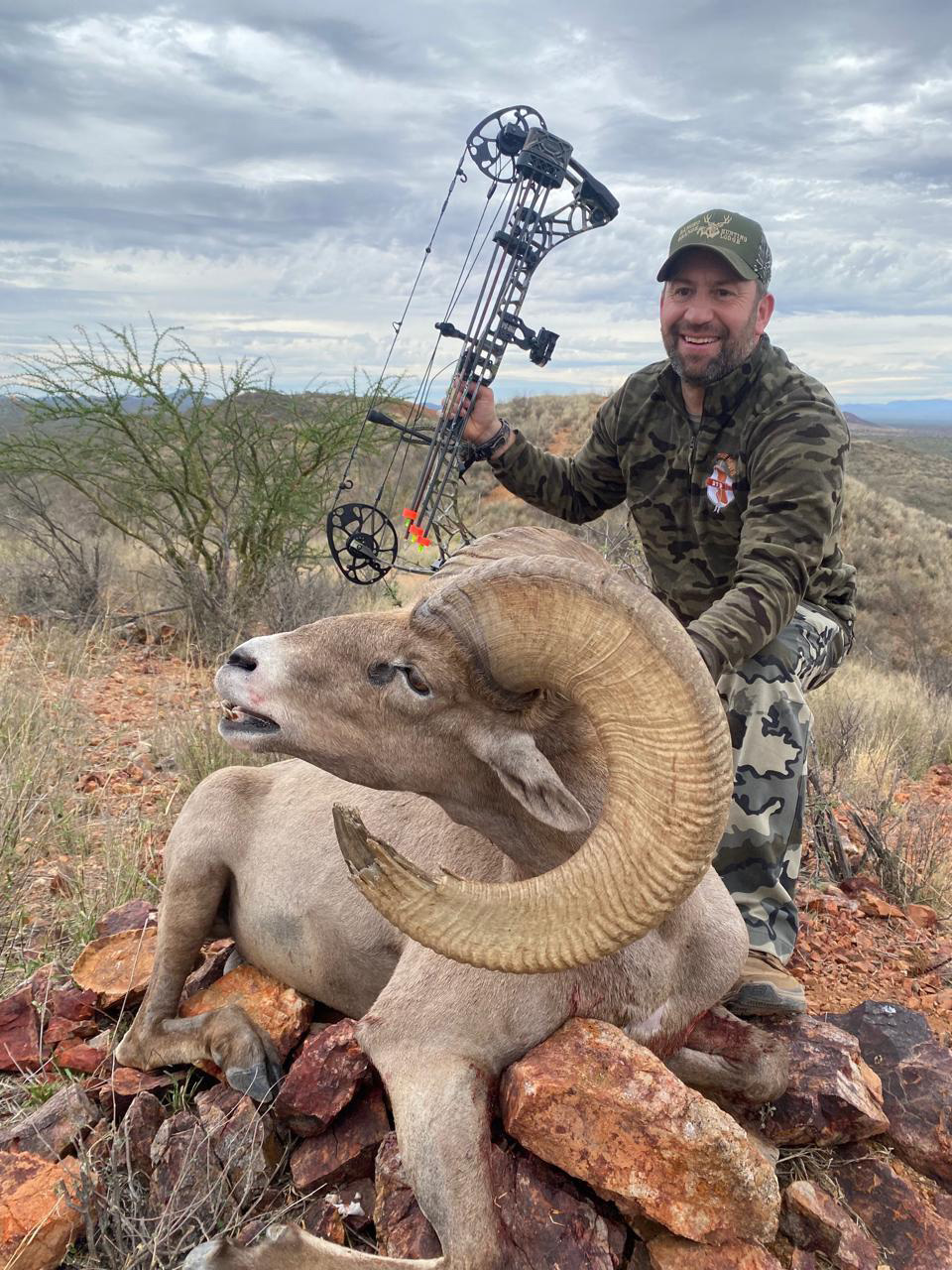 Bighorn-Sheep-Amigos-Outfitters-2025-07-21 at 1102
