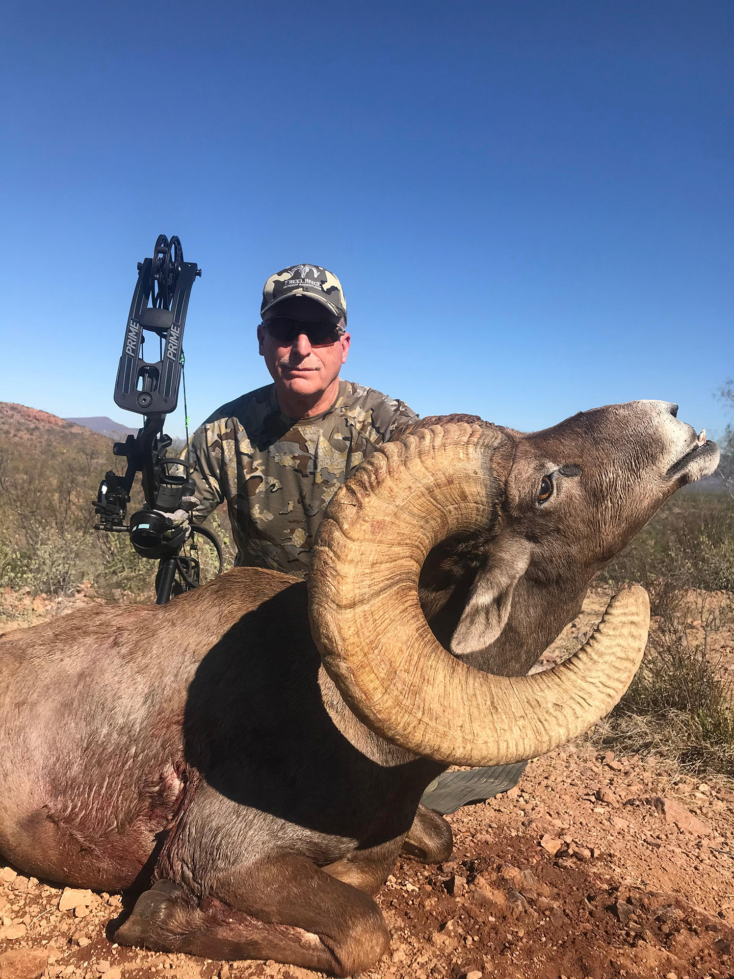 Bighorn-Sheep-Amigos-Outfitters-2025-07-21 at 1103