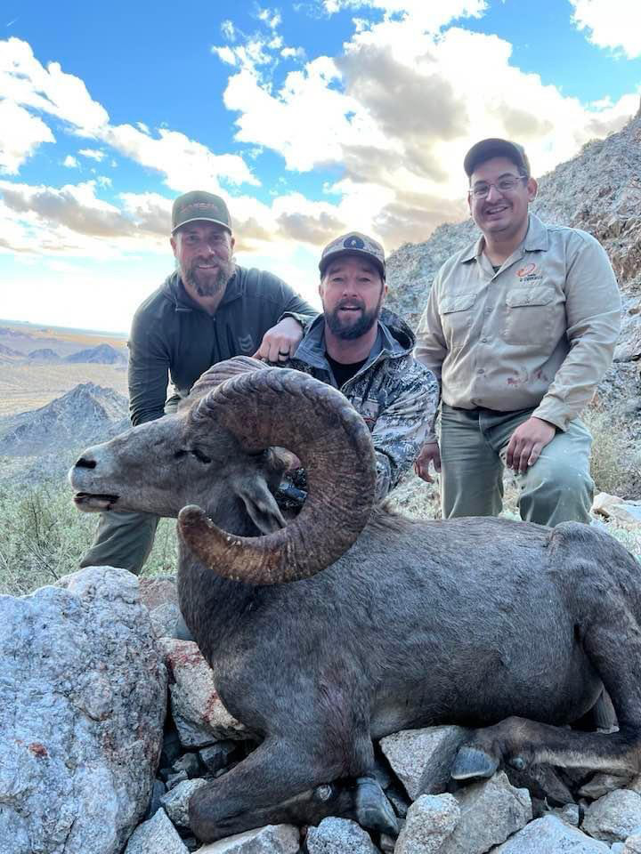 Bighorn-Sheep-Amigos-Outfitters-2025-07-21 at 1130