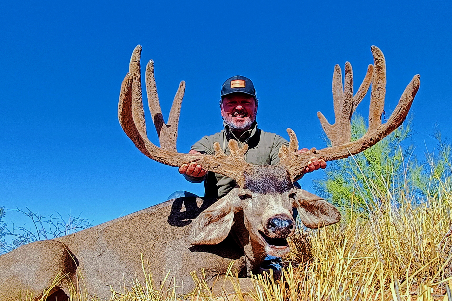 Mule-Deer-Amigos-Outfitters-IMG_20241019_191159