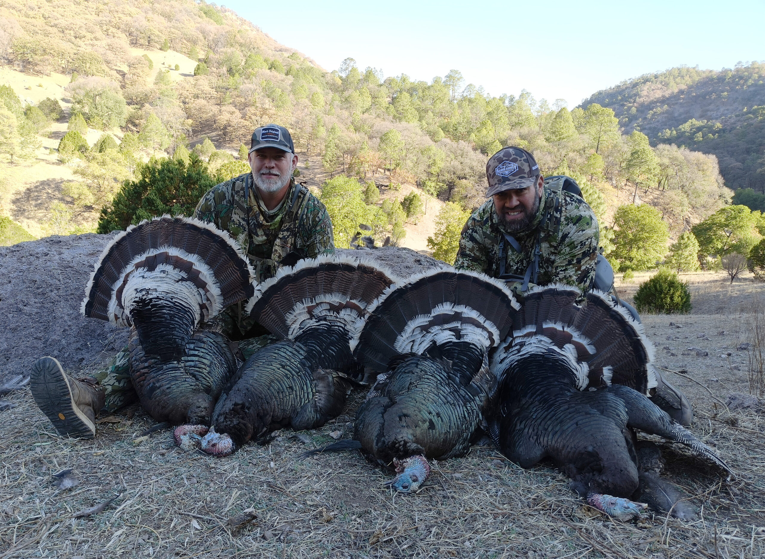 Wild-Turkey-Amigos_Outfitters-IMG20240429072002