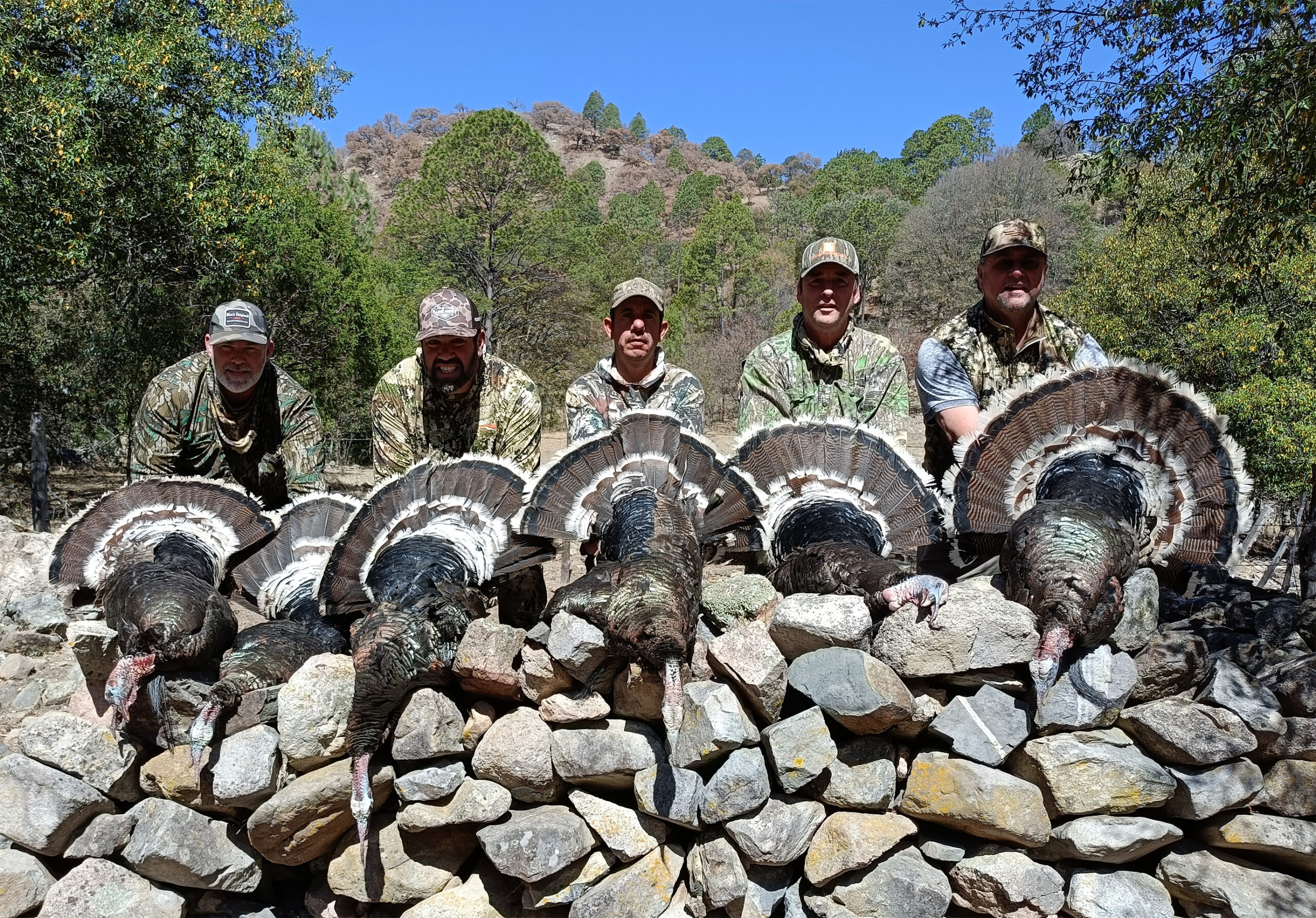 Wild-Turkey-Amigos_Outfitters-IMG20240429092157