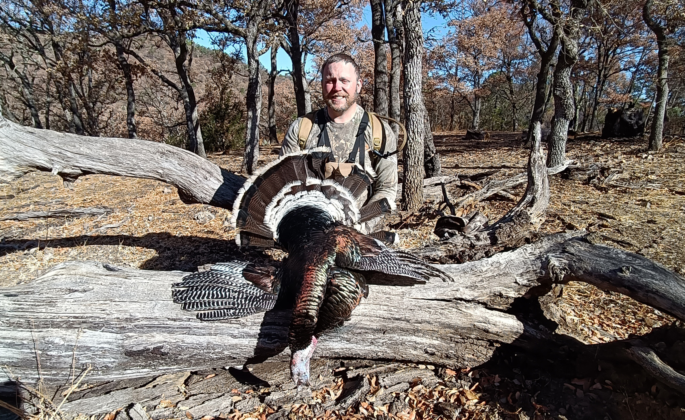 Wild-Turkey-Amigos_Outfitters-IMG20250506075614