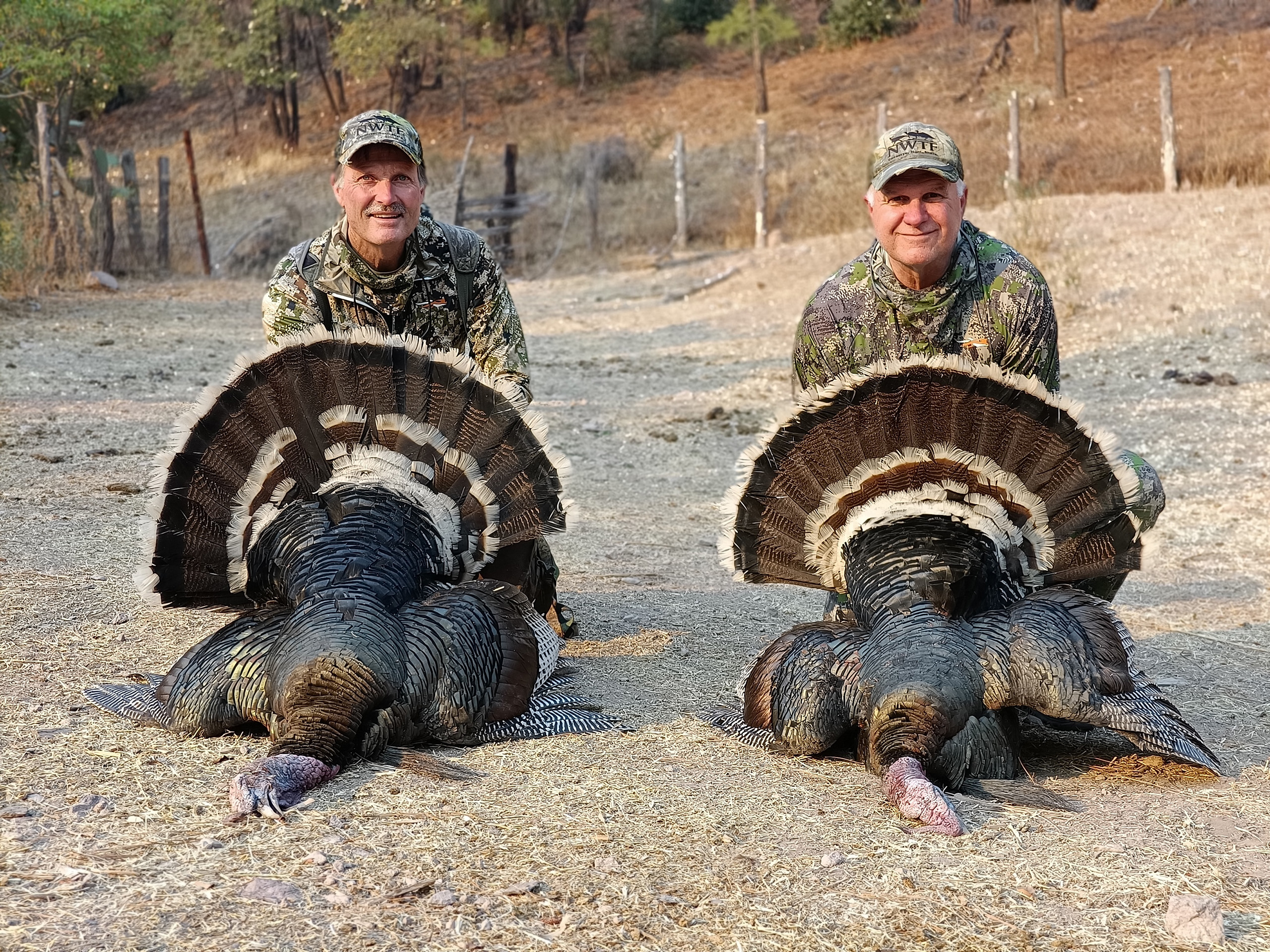 Wild-Turkey-Amigos_Outfitters-IMG20250509172757